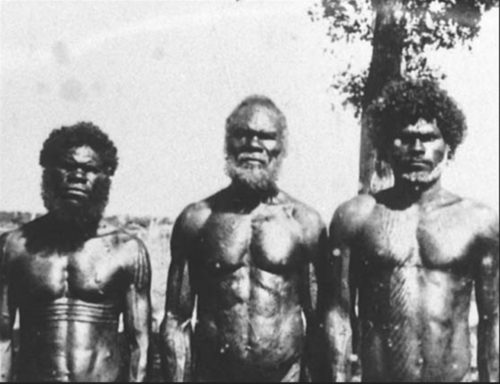 Indigenous Australian men - body-builders?